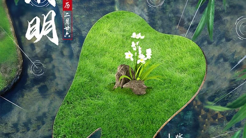 全口种植牙与活动假牙：清理难度大揭秘**
